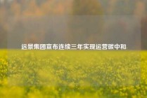 远景集团宣布连续三年实现运营碳中和