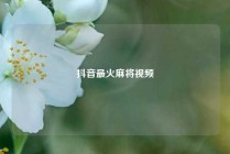 抖音最火麻将视频