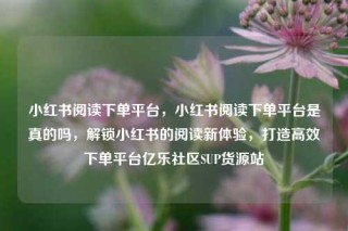 小红书阅读下单平台，小红书阅读下单平台是真的吗，解锁小红书的阅读新体验，打造高效下单平台亿乐社区SUP货源站