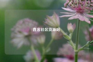 直客社区货源站