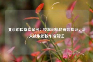 北京市检察院案例：校车司机持有残疾证，30人被取消校车准驾证