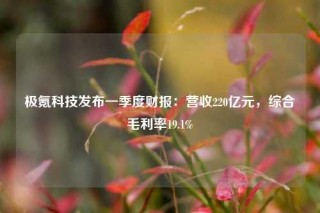 极氪科技发布一季度财报：营收220亿元，综合毛利率19.1%