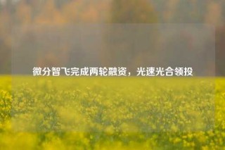 微分智飞完成两轮融资，光速光合领投