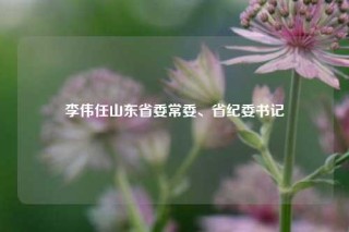 李伟任山东省委常委、省纪委书记