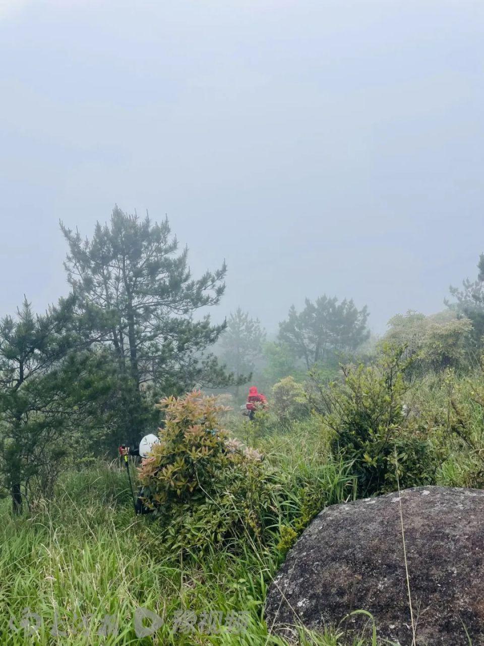 8岁男童登山失联12天，搜救仍在继续，专业人士：是否终止救援主要看两点  第2张