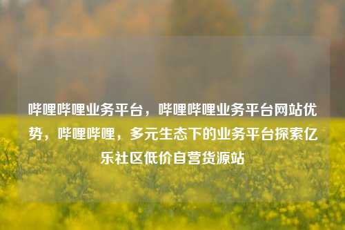 哔哩哔哩业务平台，哔哩哔哩业务平台网站优势，哔哩哔哩	，多元生态下的业务平台探索亿乐社区低价自营货源站  第1张