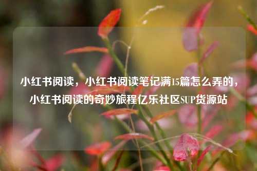 小红书阅读，小红书阅读笔记满15篇怎么弄的，小红书阅读的奇妙旅程亿乐社区SUP货源站  第1张