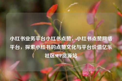 小红书业务平台小红书点赞，小红书点赞网络平台，探索小红书的点赞文化与平台价值亿乐社区SUP货源站  第1张