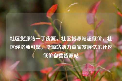 社区货源站一手货源，社区货源站超低价，社区经济新引擎	，货源站助力商家发展亿乐社区低价自营货源站  第1张
