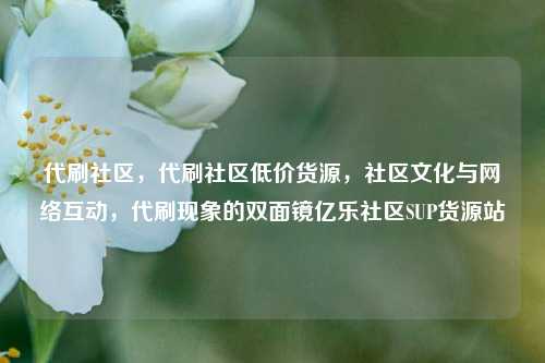 代刷社区，代刷社区低价货源，社区文化与网络互动	，代刷现象的双面镜亿乐社区SUP货源站  第1张
