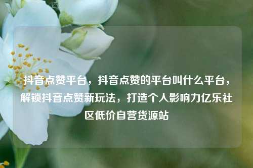 抖音点赞平台，抖音点赞的平台叫什么平台，解锁抖音点赞新玩法	，打造个人影响力亿乐社区低价自营货源站  第1张