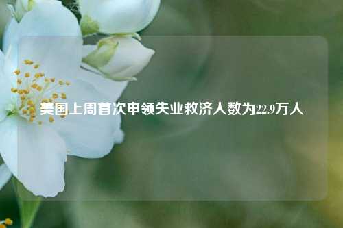 美国上周首次申领失业救济人数为22.9万人  第1张