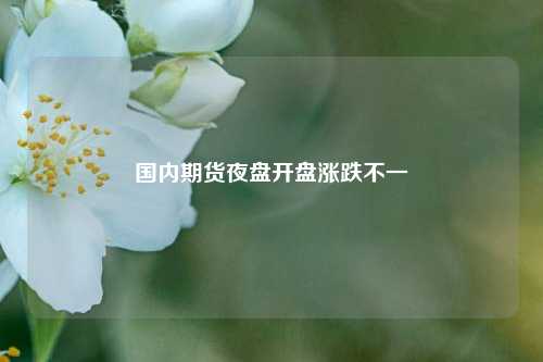 国内期货夜盘开盘涨跌不一  第1张