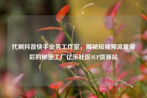 代刷抖音快手业务工作室，揭秘短视频流量背后的秘密工厂亿乐社区SUP货源站  第1张