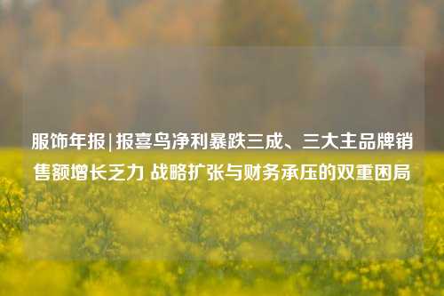 服饰年报|报喜鸟净利暴跌三成、三大主品牌销售额增长乏力 战略扩张与财务承压的双重困局  第1张