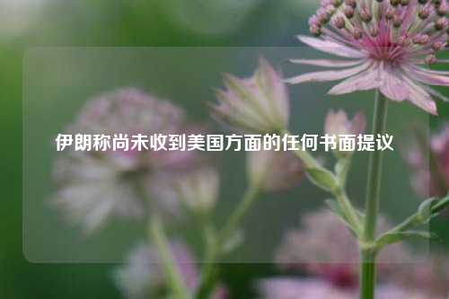 伊朗称尚未收到美国方面的任何书面提议  第1张