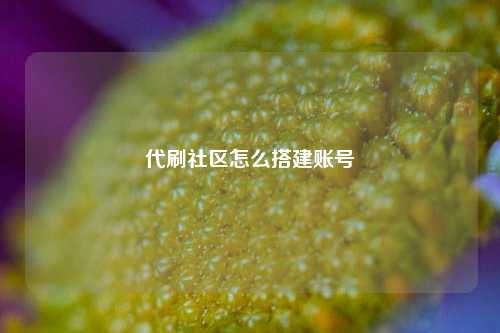 代刷社区怎么搭建账号  第1张