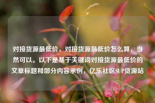 对接货源最低价，对接货源最低价怎么算，当然可以。以下是基于关键词对接货源最低价的文章标题和部分内容示例	，亿乐社区SUP货源站  第1张