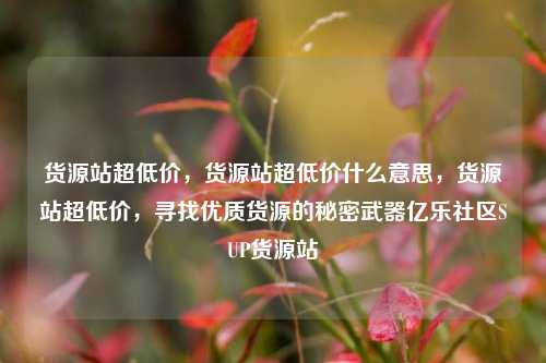 货源站超低价，货源站超低价什么意思	，货源站超低价，寻找优质货源的秘密武器亿乐社区SUP货源站  第1张