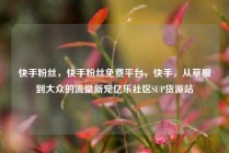快手粉丝，快手粉丝免费平台，快手，从草根到大众的流量新宠亿乐社区SUP货源站