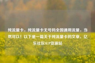 纯流量卡，纯流量卡无号码全国通用流量，当然可以！以下是一篇关于纯流量卡的文章，亿乐社区SUP货源站