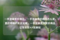 一手货源低价商品，一手货源低价商品怎么卖，直达市场的低价宝藏，一手货源直供低价商品亿乐社区SUP货源站