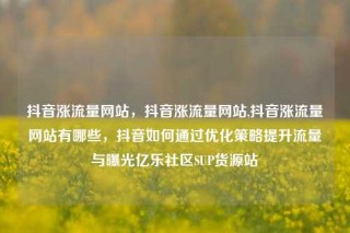 抖音涨流量网站，抖音涨流量网站,抖音涨流量网站有哪些，抖音如何通过优化策略提升流量与曝光亿乐社区SUP货源站