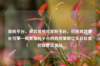 涨粉平台，微信视频号涨粉平台，打造高效增长引擎—探索涨粉平台的有效策略亿乐社区低价自营货源站