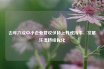 去年六成中小企业营收保持上升或持平，发展环境持续优化