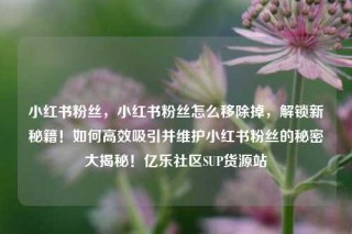 小红书粉丝，小红书粉丝怎么移除掉，解锁新秘籍！如何高效吸引并维护小红书粉丝的秘密大揭秘！亿乐社区SUP货源站