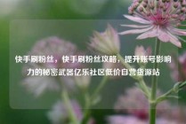 快手刷粉丝，快手刷粉丝攻略，提升账号影响力的秘密武器亿乐社区低价自营货源站