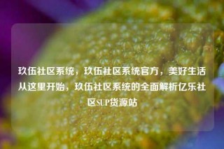 玖伍社区系统，玖伍社区系统官方，美好生活从这里开始，玖伍社区系统的全面解析亿乐社区SUP货源站