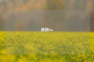 迪迦bm