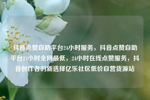 抖音点赞自助平台24小时服务，抖音点赞自助平台24小时全网最低，24小时在线点赞服务	，抖音创作者的新选择亿乐社区低价自营货源站  第1张