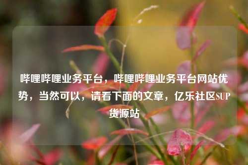 哔哩哔哩业务平台	，哔哩哔哩业务平台网站优势，当然可以，请看下面的文章	，亿乐社区SUP货源站  第1张