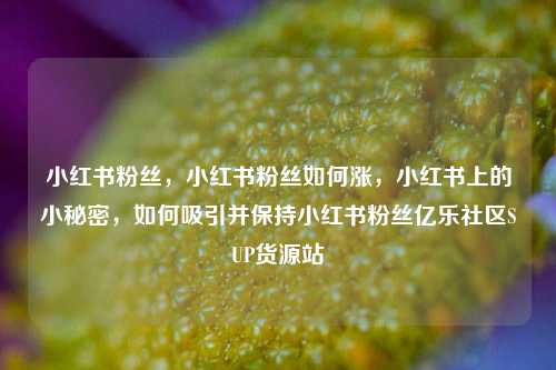 小红书粉丝	，小红书粉丝如何涨，小红书上的小秘密，如何吸引并保持小红书粉丝亿乐社区SUP货源站  第1张
