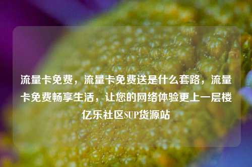 流量卡免费	，流量卡免费送是什么套路，流量卡免费畅享生活，让您的网络体验更上一层楼亿乐社区SUP货源站  第1张