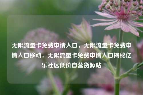 无限流量卡免费申请入口，无限流量卡免费申请入口移动，无限流量卡免费申请入口揭秘亿乐社区低价自营货源站  第1张
