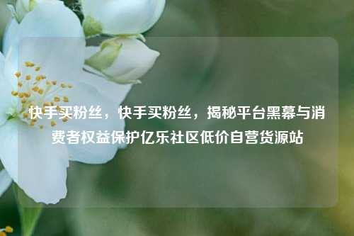 快手买粉丝，快手买粉丝，揭秘平台黑幕与消费者权益保护亿乐社区低价自营货源站  第1张