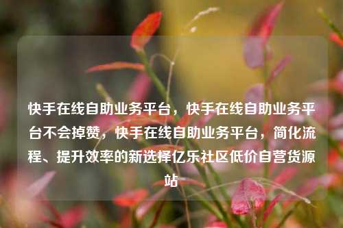 快手在线自助业务平台，快手在线自助业务平台不会掉赞	，快手在线自助业务平台，简化流程、提升效率的新选择亿乐社区低价自营货源站  第1张