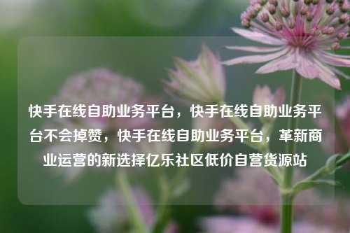 快手在线自助业务平台，快手在线自助业务平台不会掉赞	，快手在线自助业务平台，革新商业运营的新选择亿乐社区低价自营货源站  第1张